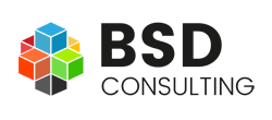 BSD-Consulting-logo